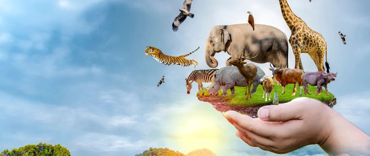 eco friendly lifestyles