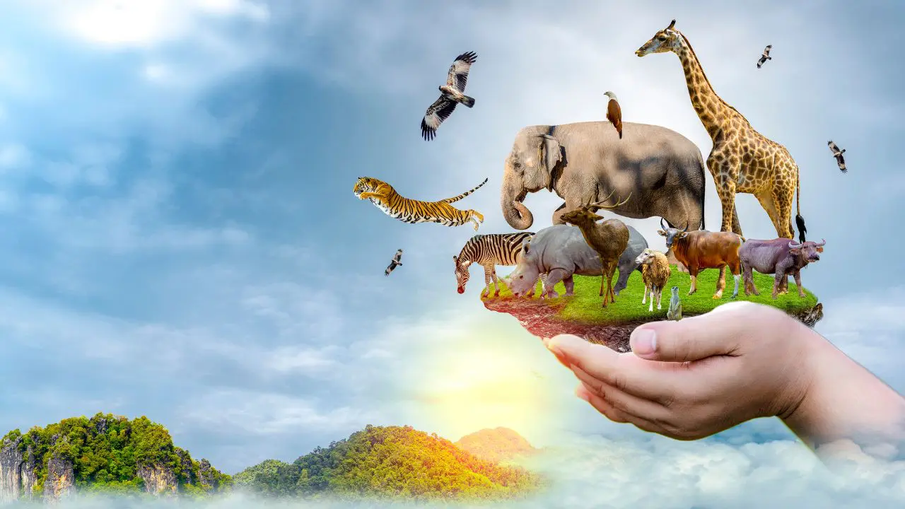 eco friendly lifestyles