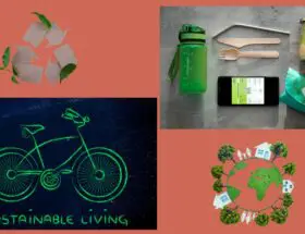 ways to be more sustainable