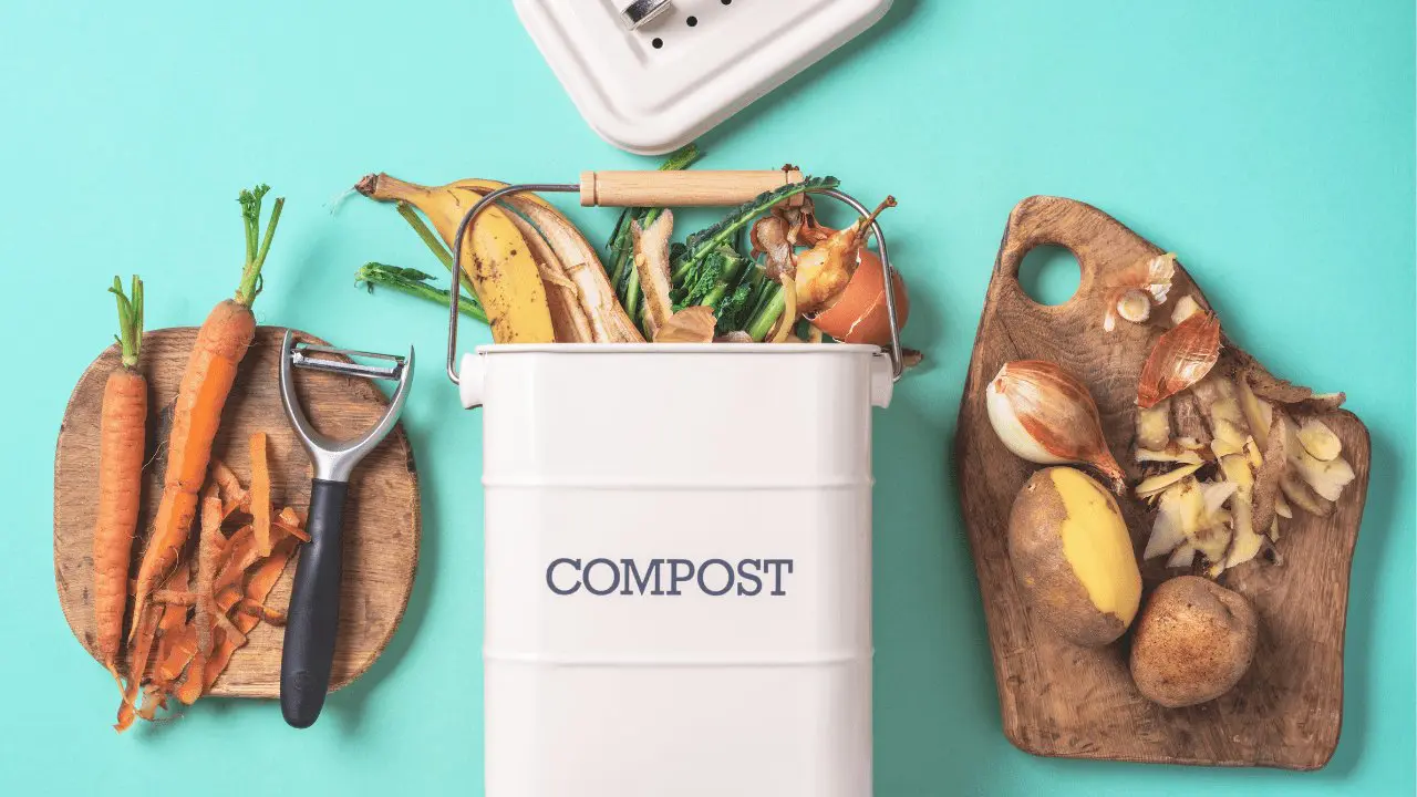 compost guide (1)