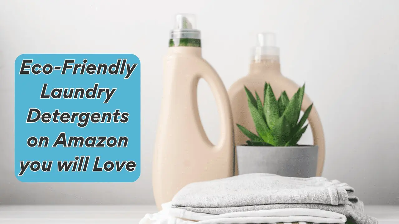 Eco-Friendly Detergents on Amazon