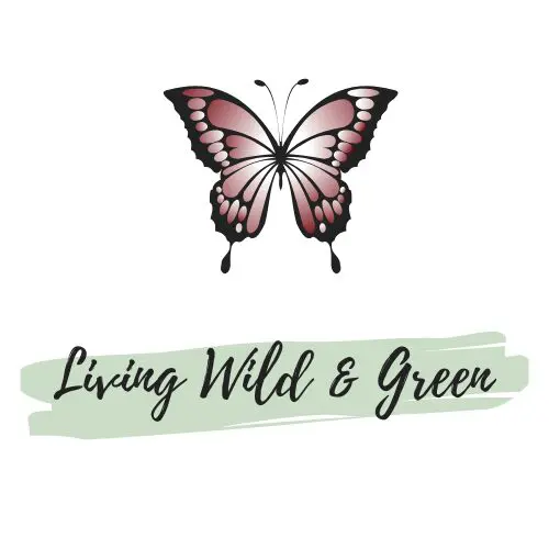 Eco friendly, plastic free, zero waste lifestyle