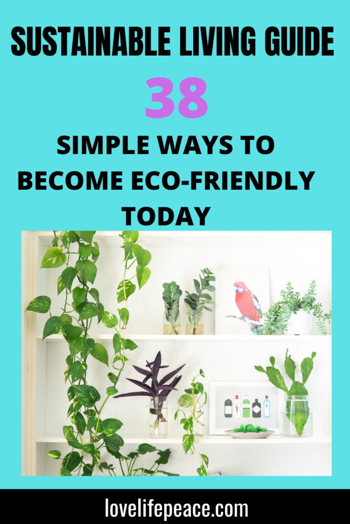 sustainable living guide