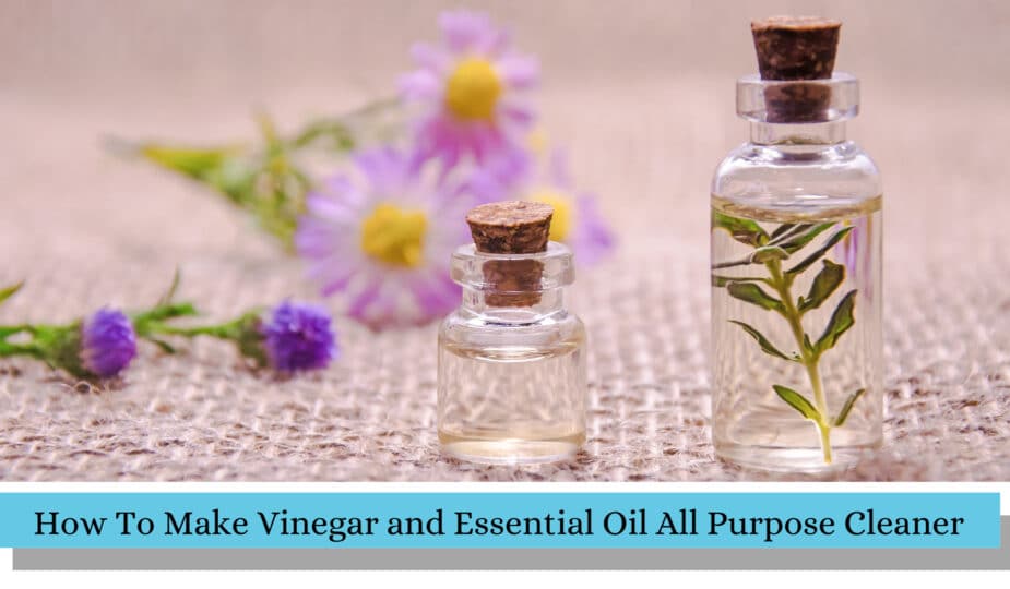 How To Make Vinegar and Essential Oil All Purpose Cleaner