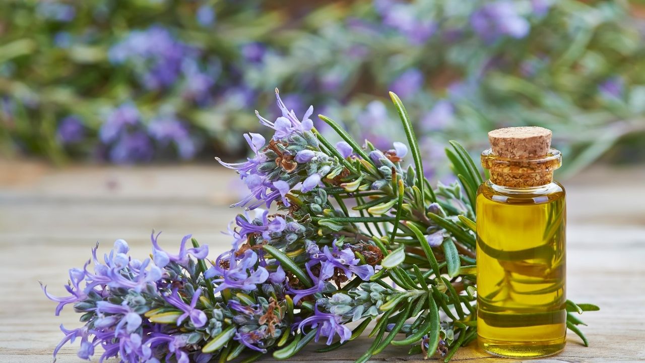 Rosemary Water for Hair