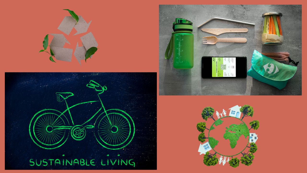 ways to be more sustainable