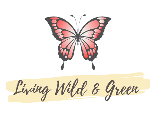 eco friendly, zero waste, minimalist lifestyle