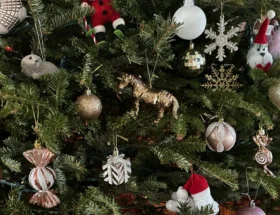 decorated-christmas-tree-ornaments (2)